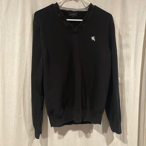 Express V-Neck Sweater